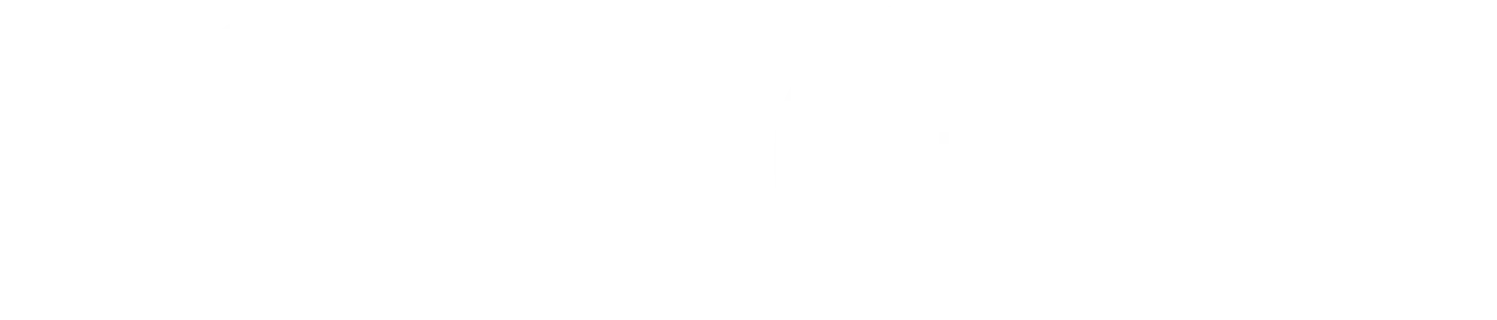 logo stiga
